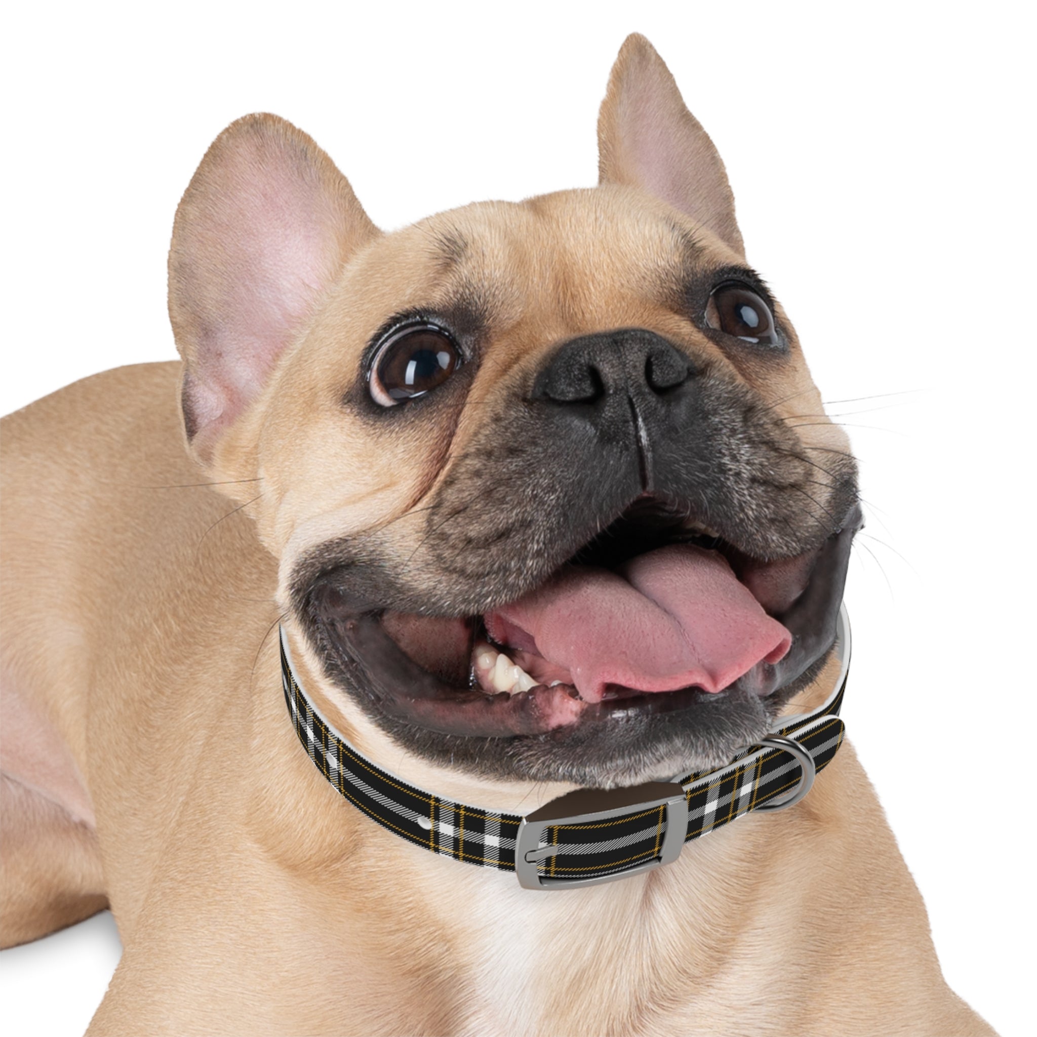 Washington Tattoo Tartan Dog Collar