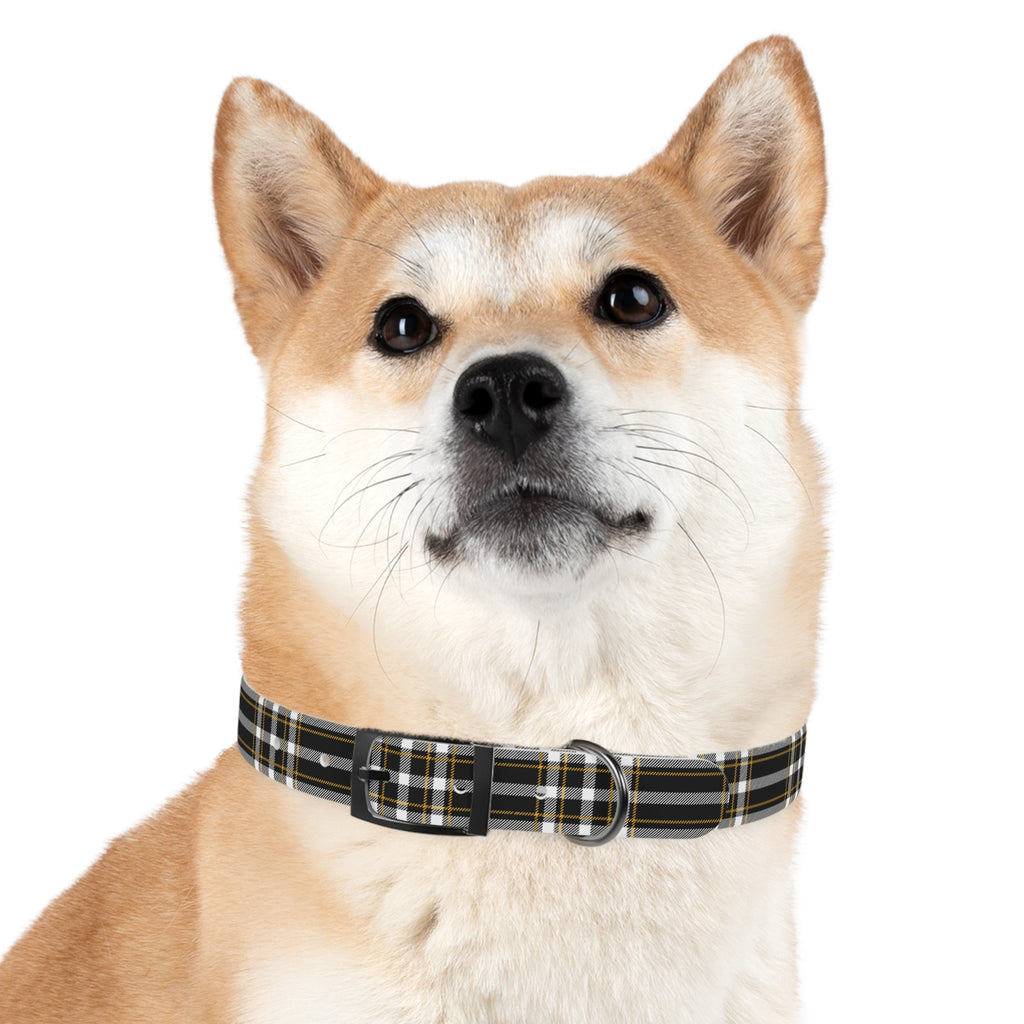 Washington Tattoo Tartan Dog Collar