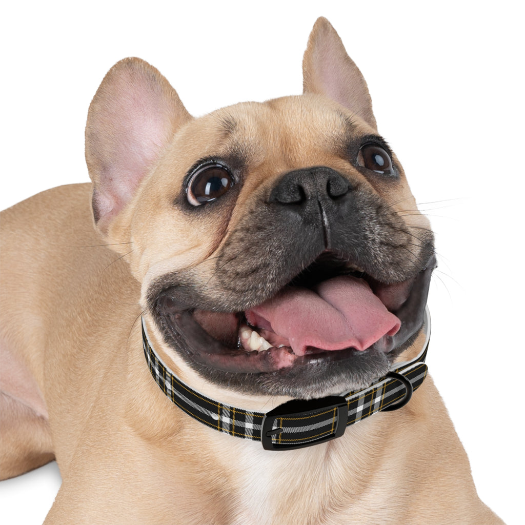 Washington Tattoo Tartan Dog Collar